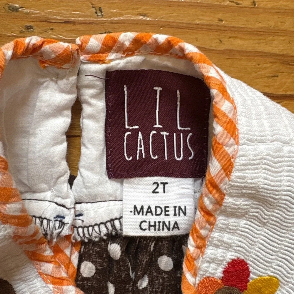 Lil Cactus Turkey Smocked Dress Toddler Brown Polka‎ Dot Gingham SIZE 2T